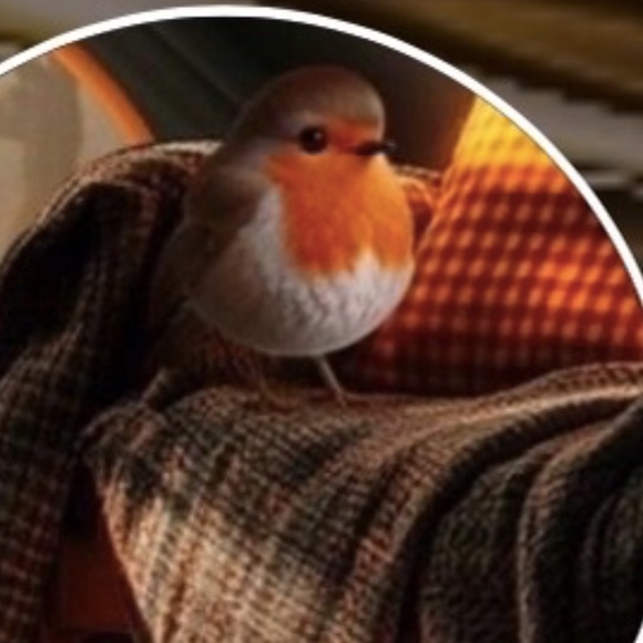 Meet your Posher, Rhonda - Picture 1 of 1